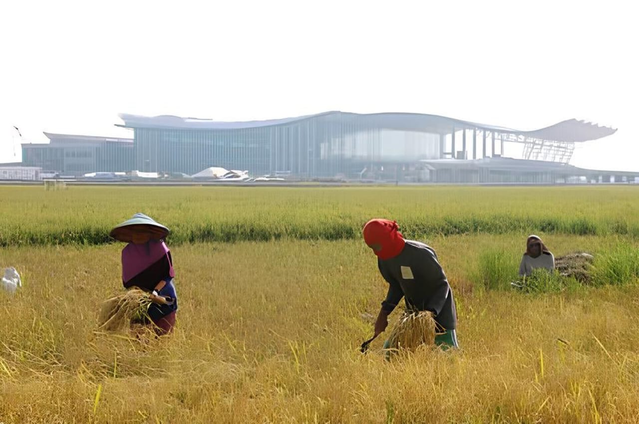 Petani di sekitar bandara Kertajati
