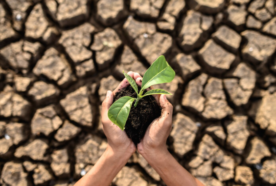 climate change.png