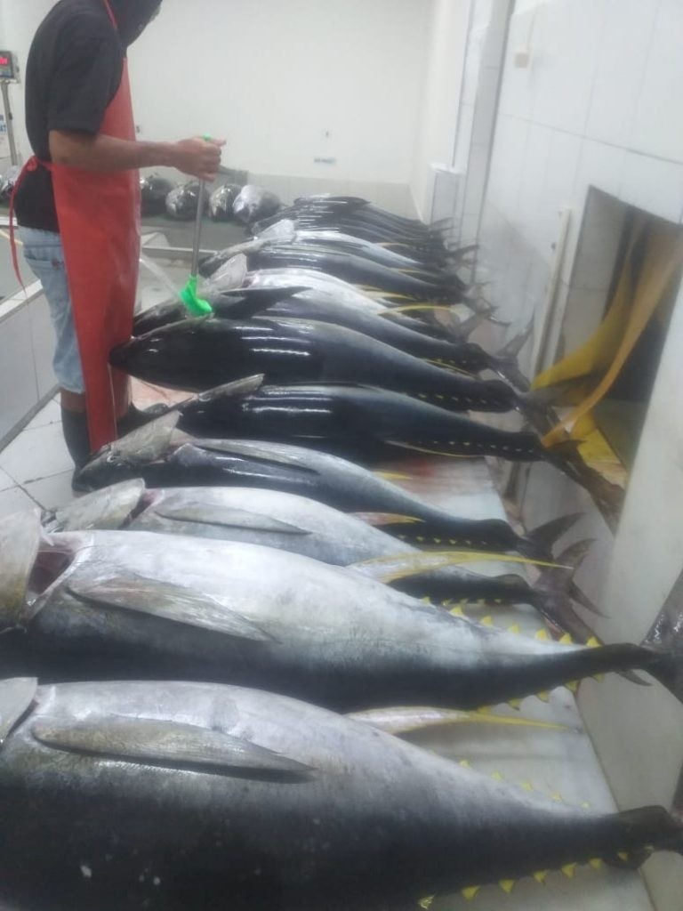 Ekspor Tuna