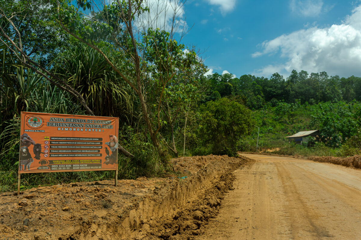 papan peringatan jalur lintas satwa 