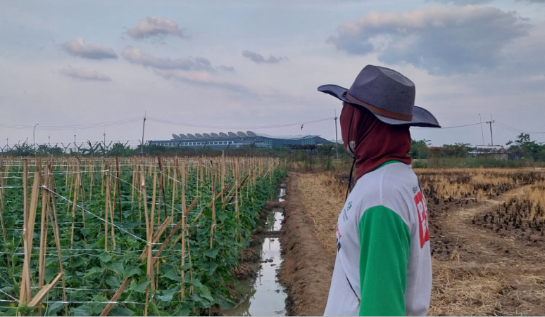 Petani menatap bandara yang tak jauh dari sawahnya. (Foto: Erick Disy Darmawan/detikJabar)