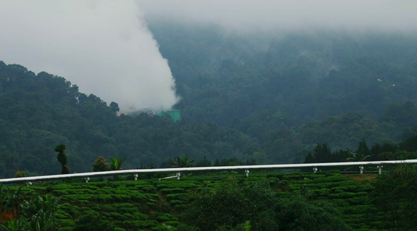 Jaringan pipa penghubung panas bumi yang melewati perkebunan (Foto Anza Suseno)