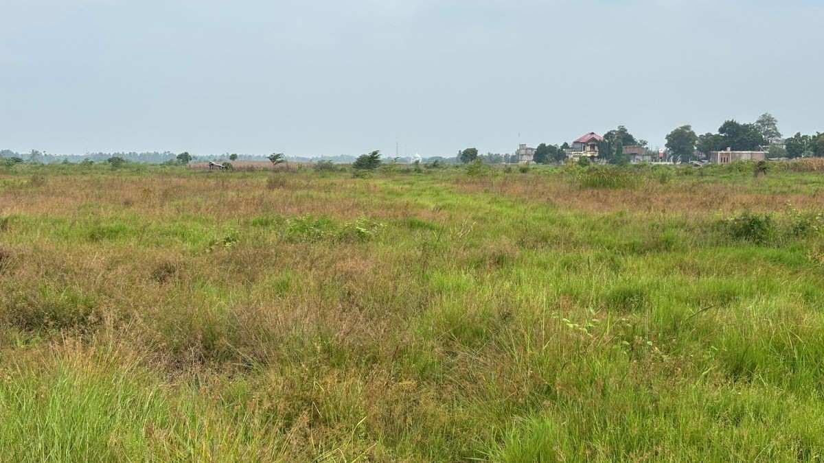 Sawah warga di Gampong Meunasah Raya, Kecamatan Meurah Dua, Pidie Jaya, terbengkalai dan dipenuhi semak. (Foto: AJNN/Irfan Habibi) 