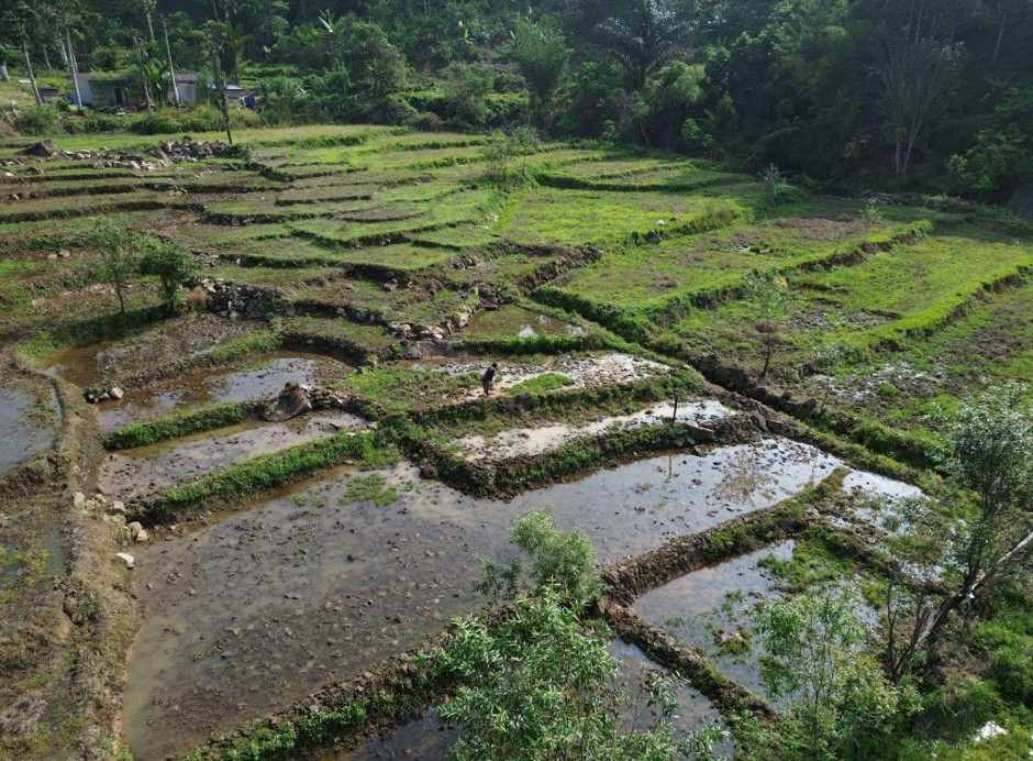 Foto udara memperlihatkan kondisi petakan sawah yang mulai tergenang air di Desa Kuta Teungoh, Kecamatan Beutong Ateuh Banggalang, Kabupaten Nagan Raya, Sabtu (17/10/2026). Foto: (Mardili/Bithe.co). Salinan ini telah tayang di https://www.bithe.co/news/suara-air-yang-dirindukan-petani-beutong-ateuh/index.html#google_vignette.