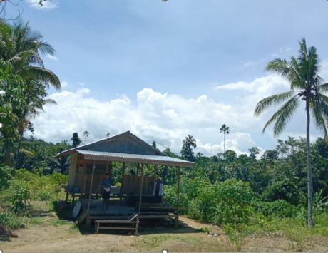 perkebunan warga 