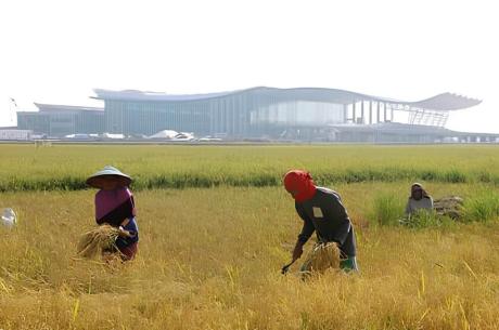 Petani di sekitar bandara Kertajati 