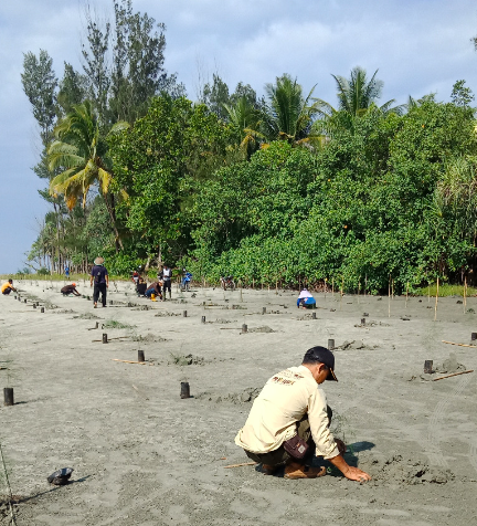Penghijauan pesisir