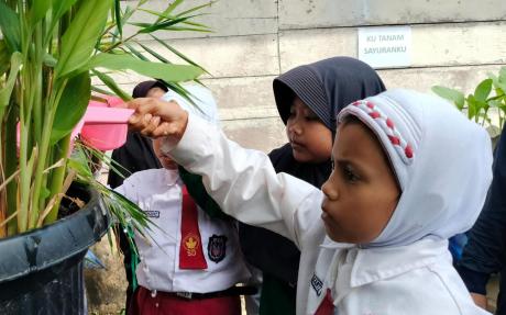 Siswi SD Negeri 67 Muara Sekalo menyiram sejumlah tanaman yang berbaris di pekarangan sekolah. Kegiatan ini termasuk dalam pendidikan lingkungan hidup. (Foto: Independen/ M Sobar Alfahri)