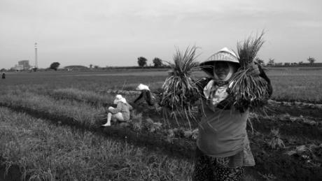 Warga di Kampung Pulo Kuntul 