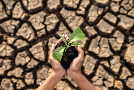 climate change.png