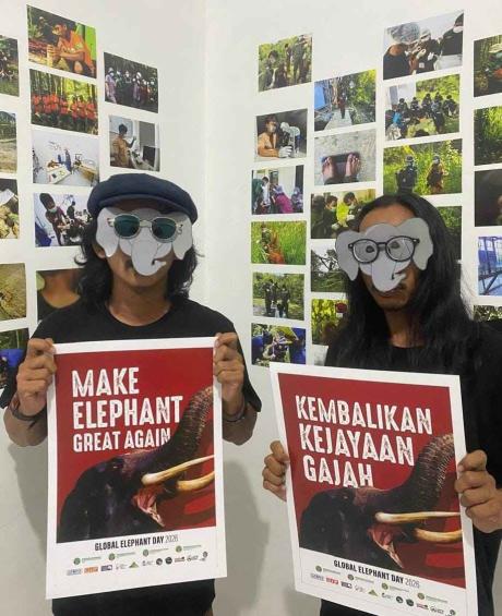 Kampanye gajah 