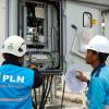 PLN 